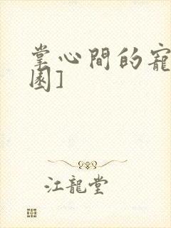 掌心间的宠[校园]