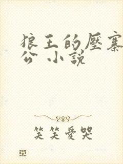 狼王的压寨小相公 小说