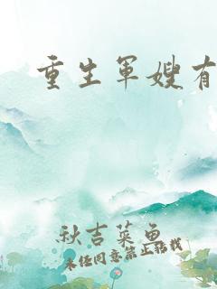 重生军嫂有空间