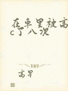 在车里被高潮被c了八次