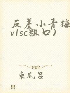 反差小青梅(1v1sc粗口)