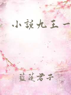 小说九王一后