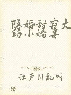 隐婚甜宠大财阀的小娇妻