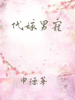 代嫁男宠