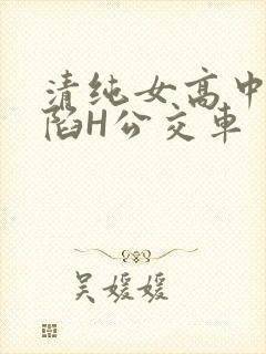 清纯女高中生沦陷H公交车