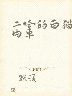 二哈的白猫师尊肉车