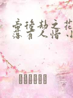 帝后劫之花开花落有人惜 小说