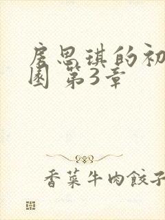 房思琪的初恋乐园 第3章