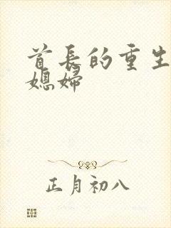 首长的重生宝贝媳妇