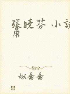 张晓芬 小说主角