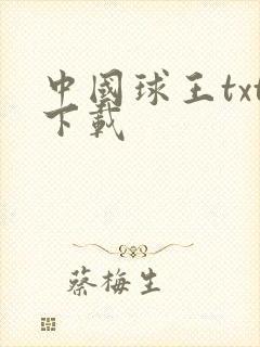 中国球王txt下载