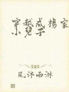 穿越成杨家将最小儿子