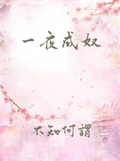 一夜成奴