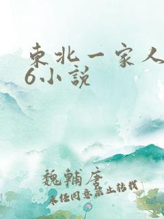 东北一家人1一6小说