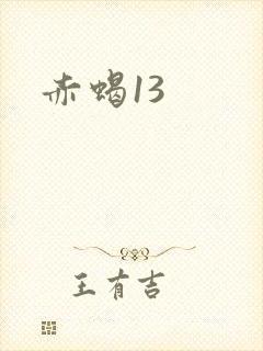 赤蝎13