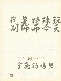 我是特殊玩具定制师而今天的客户