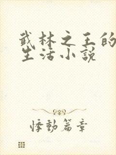 武林之王的退隐生活小说