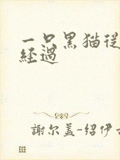 一只黑猫从眼前经过