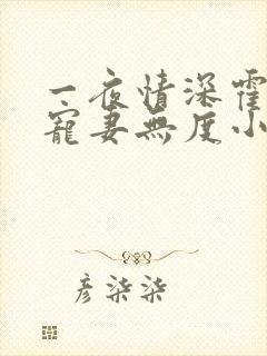 一夜情深霍先生宠妻无度小说免费阅读