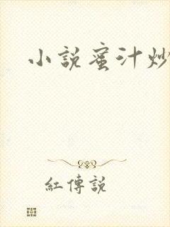 小说蜜汁炒鱿鱼