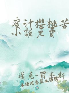 蜜汁樱桃苦咖啡小说免费