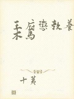 王府惩教养日常木马