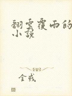 翻云覆雨的秘密小说