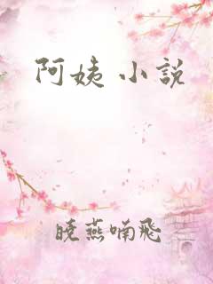 阿姨 小说