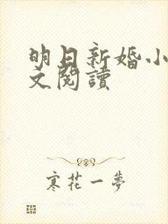明日新婚小说全文阅读
