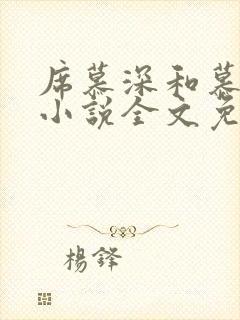 席慕深和慕清泠小说全文免费阅读