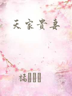 天家贵妻