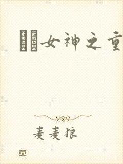 鹡鸰女神之重生