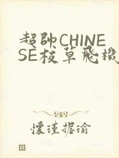 超帅CHINESE校草飞机BLUE