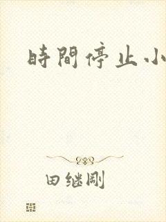 时间停止小说