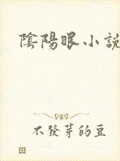 阴阳眼小说
