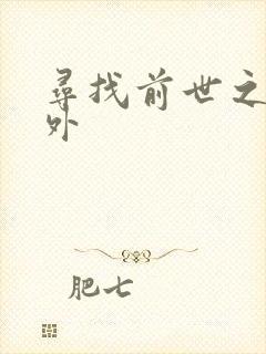 寻找前世之旅番外