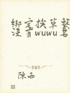 绑定挨草系统后没有wuwu名字