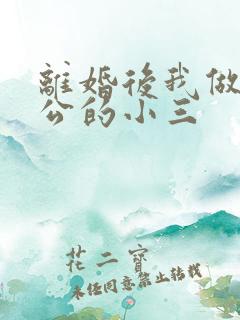 离婚后我做了老公的小三