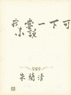 我尝一下可以吗 小说