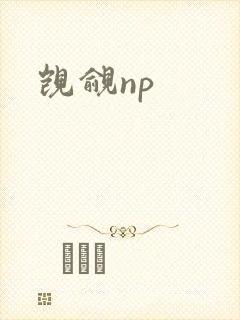 觊觎np