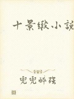 十景缎小说
