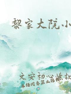 黎家大院小说