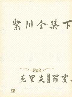 紫川全集下载