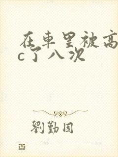 在车里被高潮被c了八次