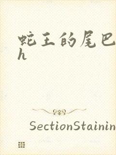 蛇王的尾巴高ah