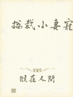 总裁小妻宠上天