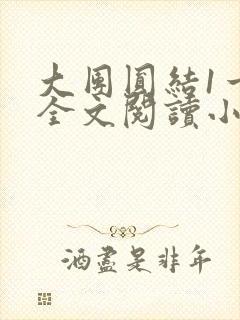 大团圆结1一6全文阅读小说