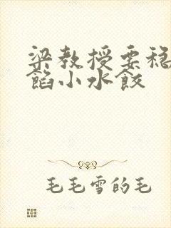 梁教授要稳住肉馅小水饺