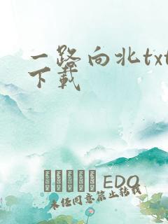 一路向北txt下载