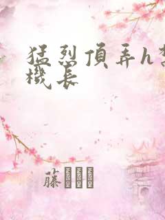 猛烈顶弄h禁欲机长